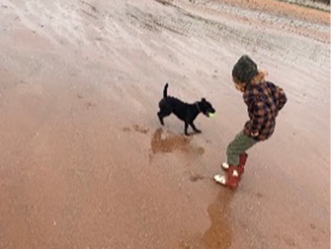 image of sarahs son and dog on the beach